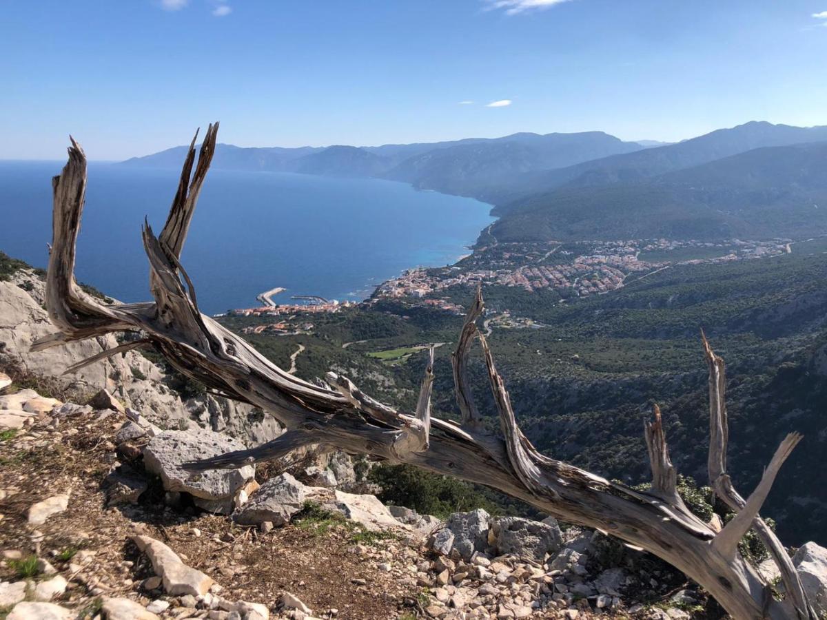 Appartamento Meduse Cala Gonone Εξωτερικό φωτογραφία