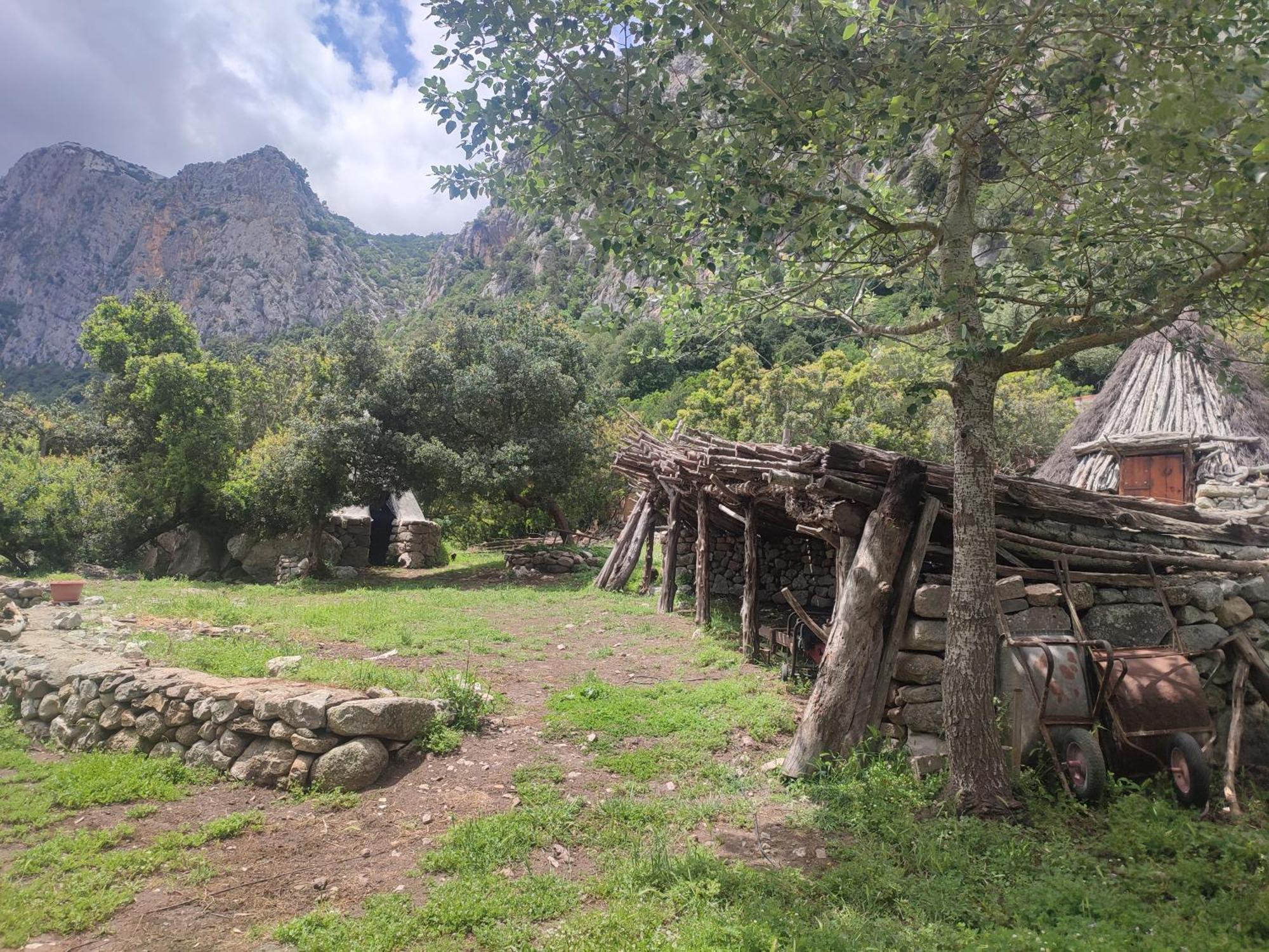 Appartamento Meduse Cala Gonone Εξωτερικό φωτογραφία